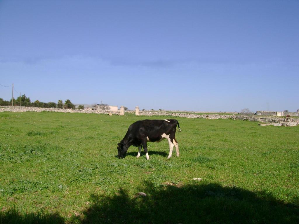 Masseria Cassiere Mottola Buitenkant foto