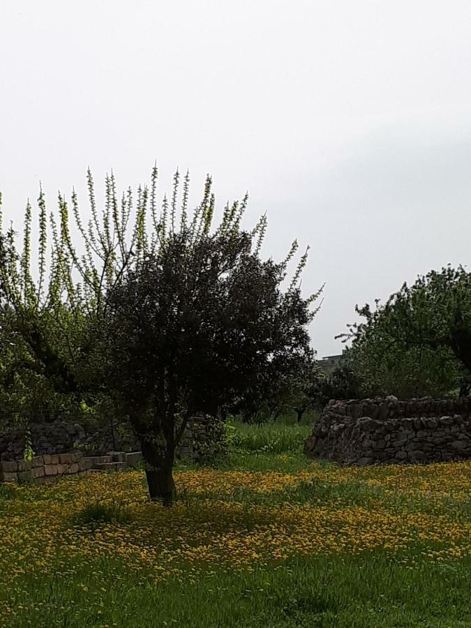 Masseria Cassiere Mottola Buitenkant foto